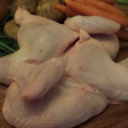 Picture of Chicken Portions ( Breasts / Legs)